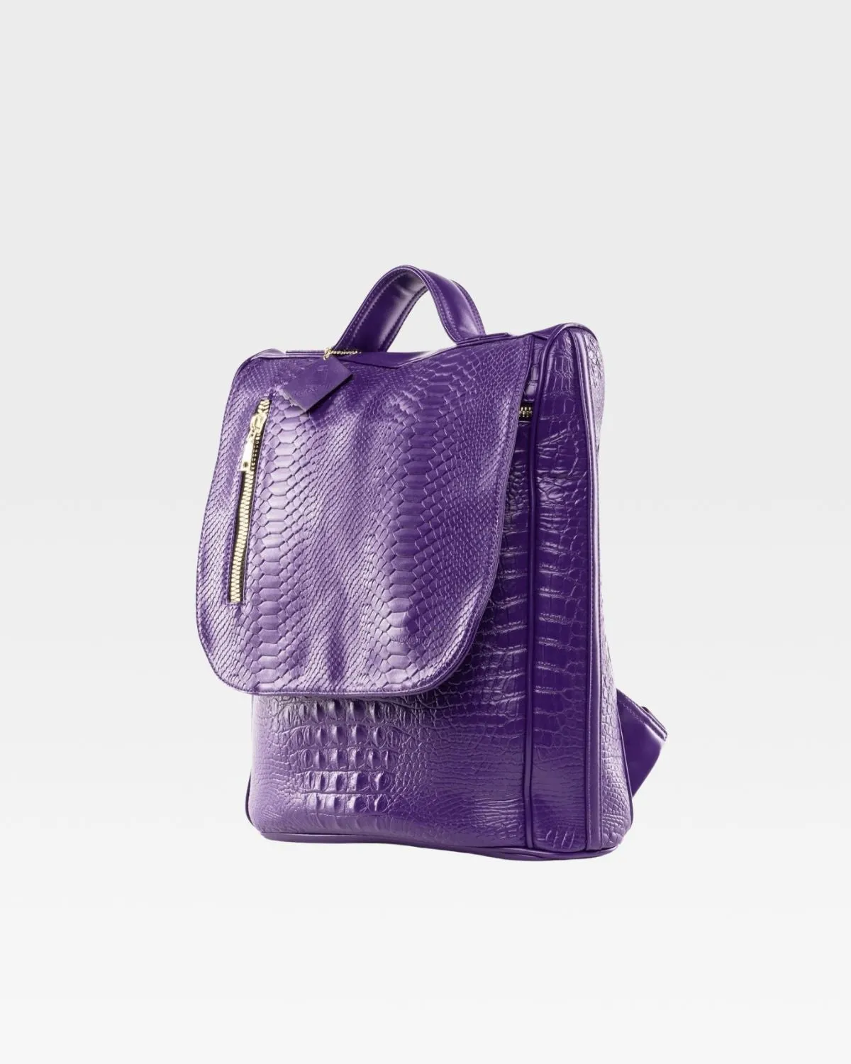 Apollo 2 Backpack in Purple