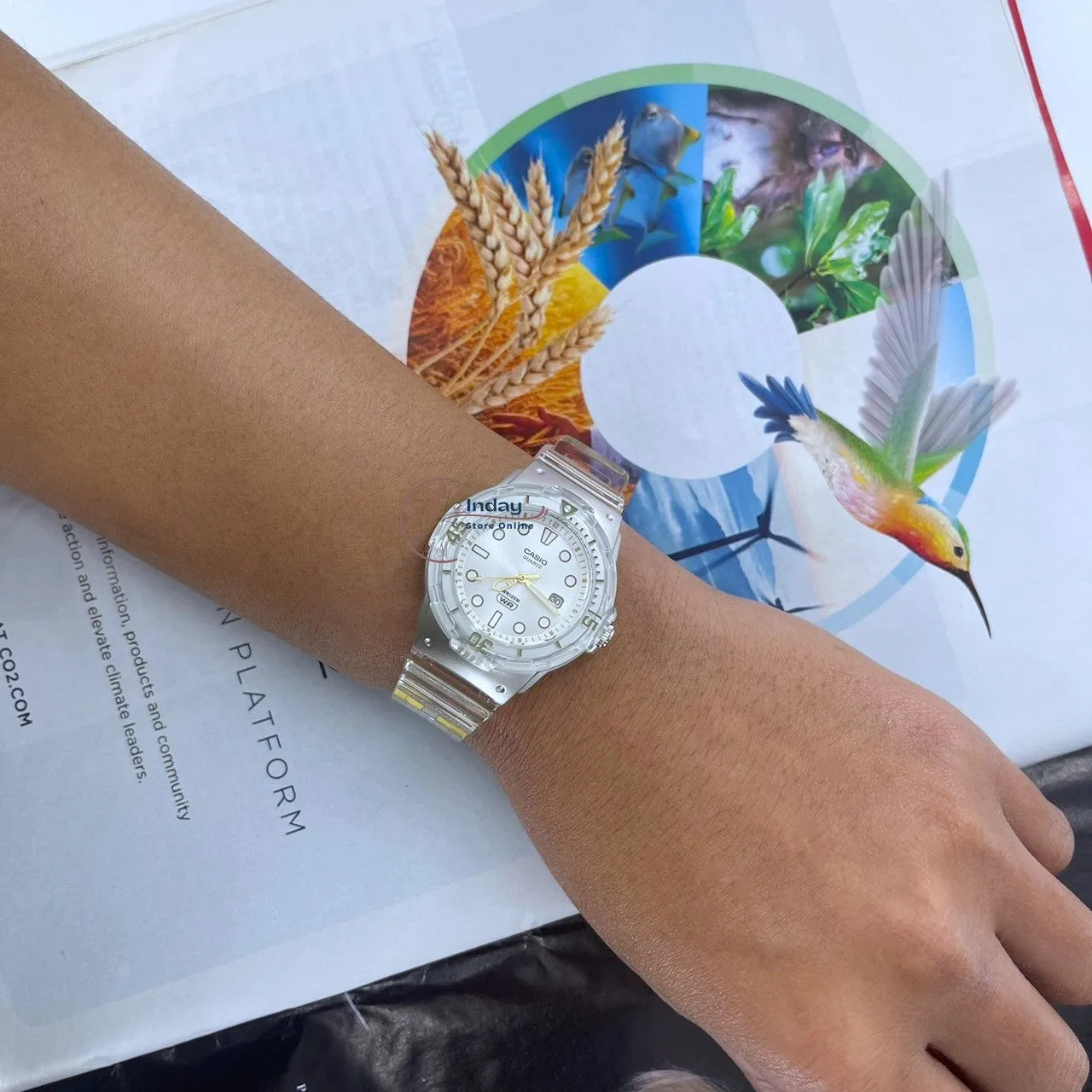Casio Analog Women's Watch LRW-200HS-7E Resin Band Resin Glass Transparent Color
