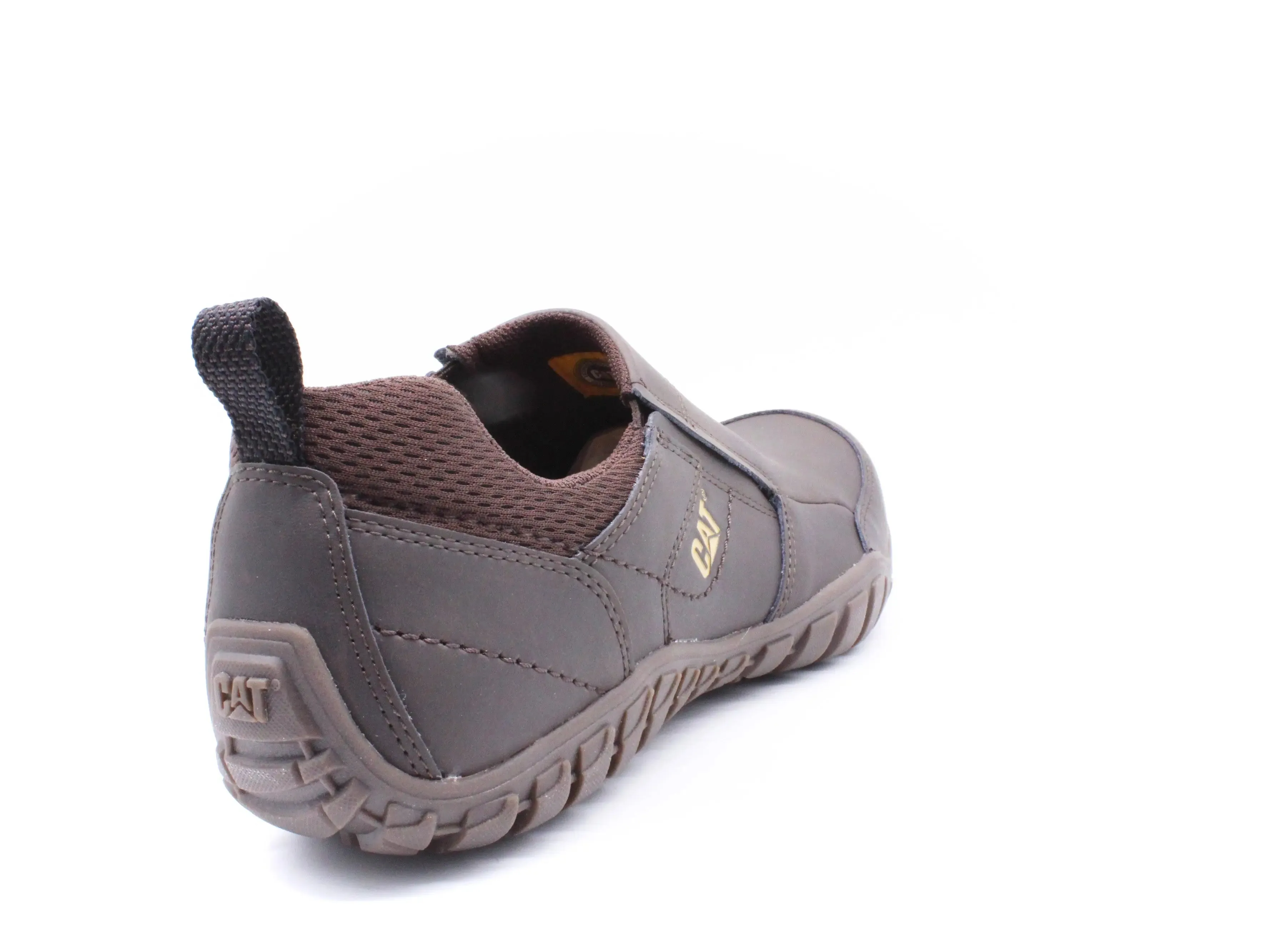 CAT OPINE BROWN