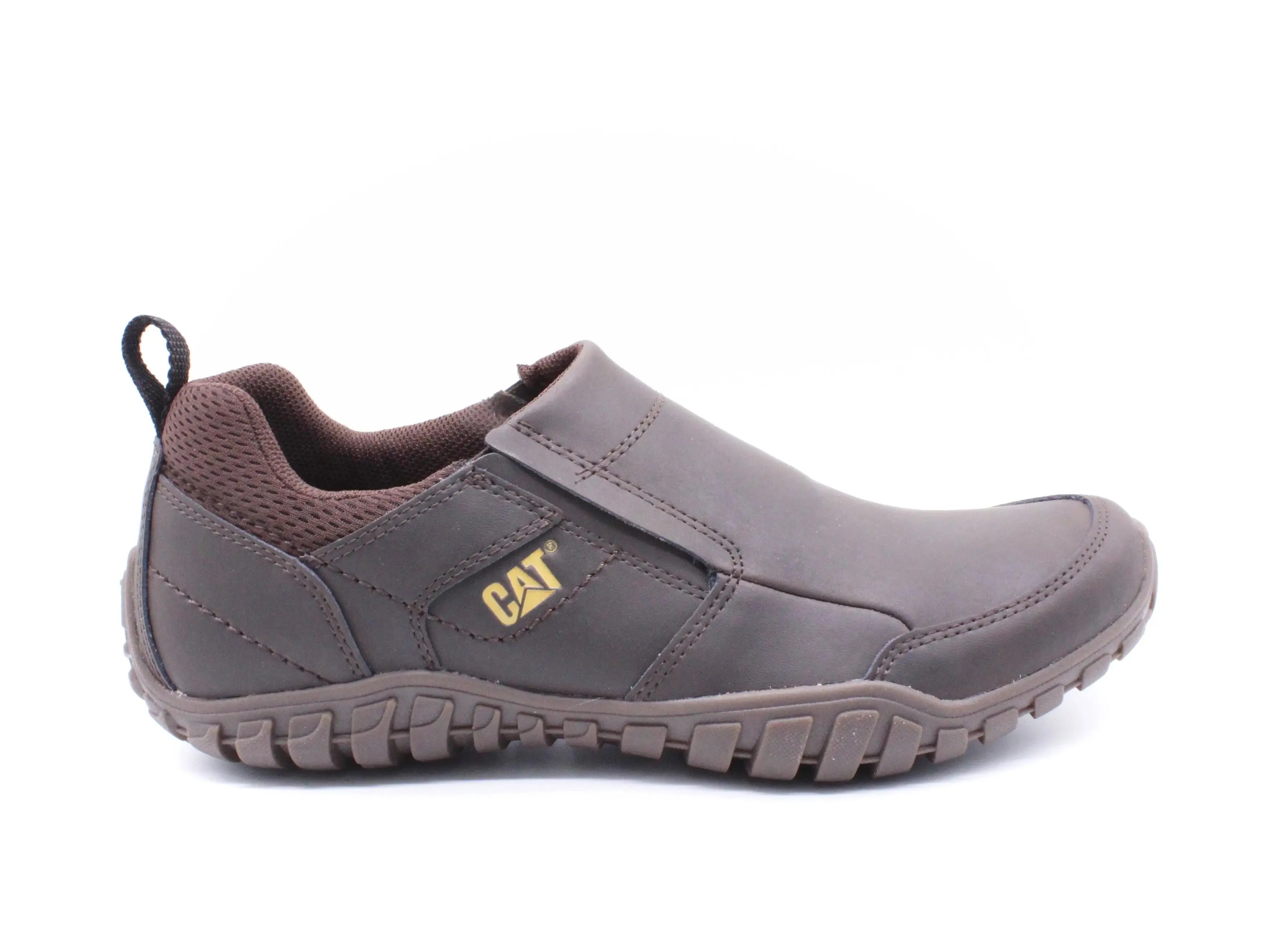 CAT OPINE BROWN