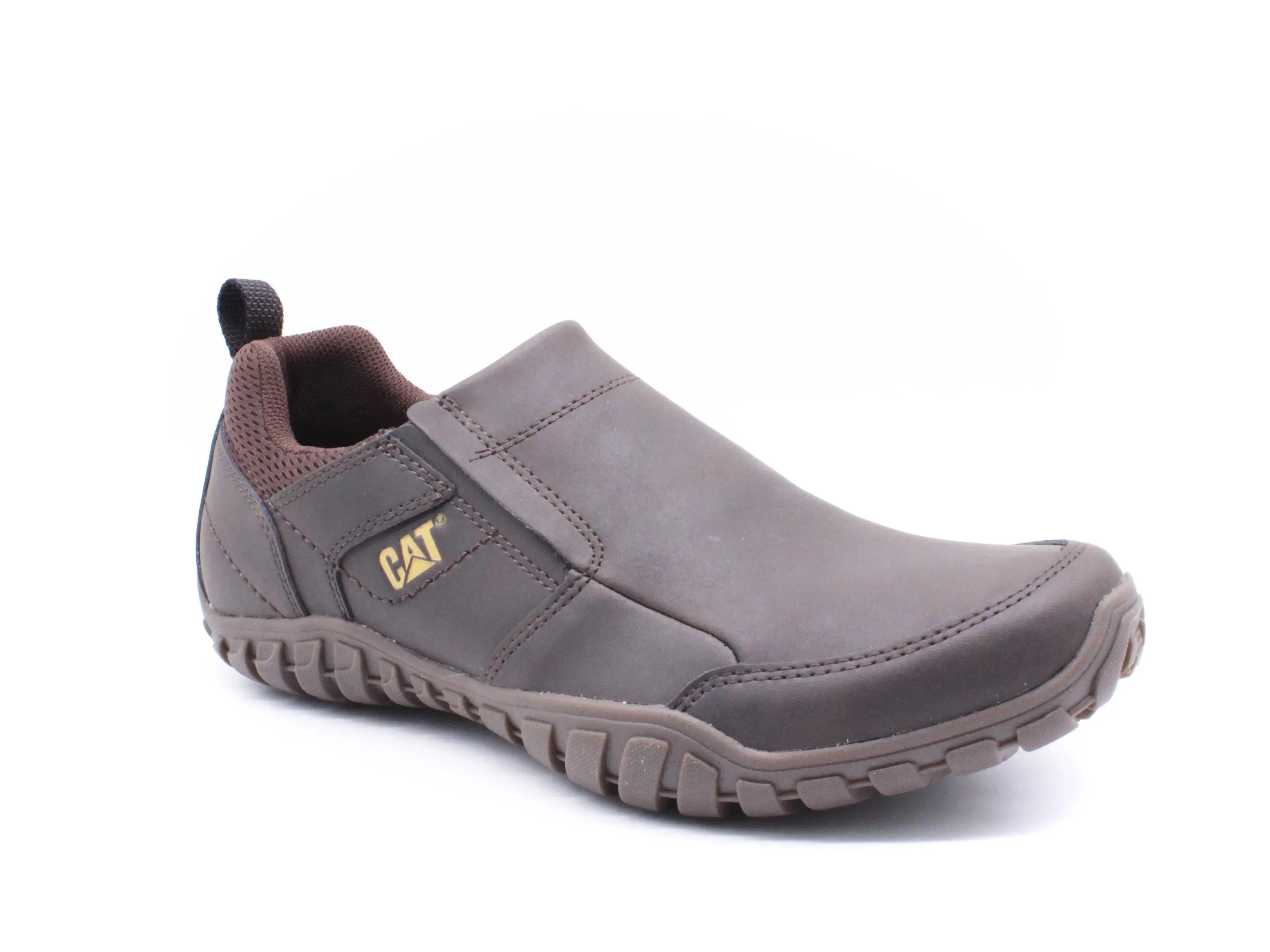 CAT OPINE BROWN