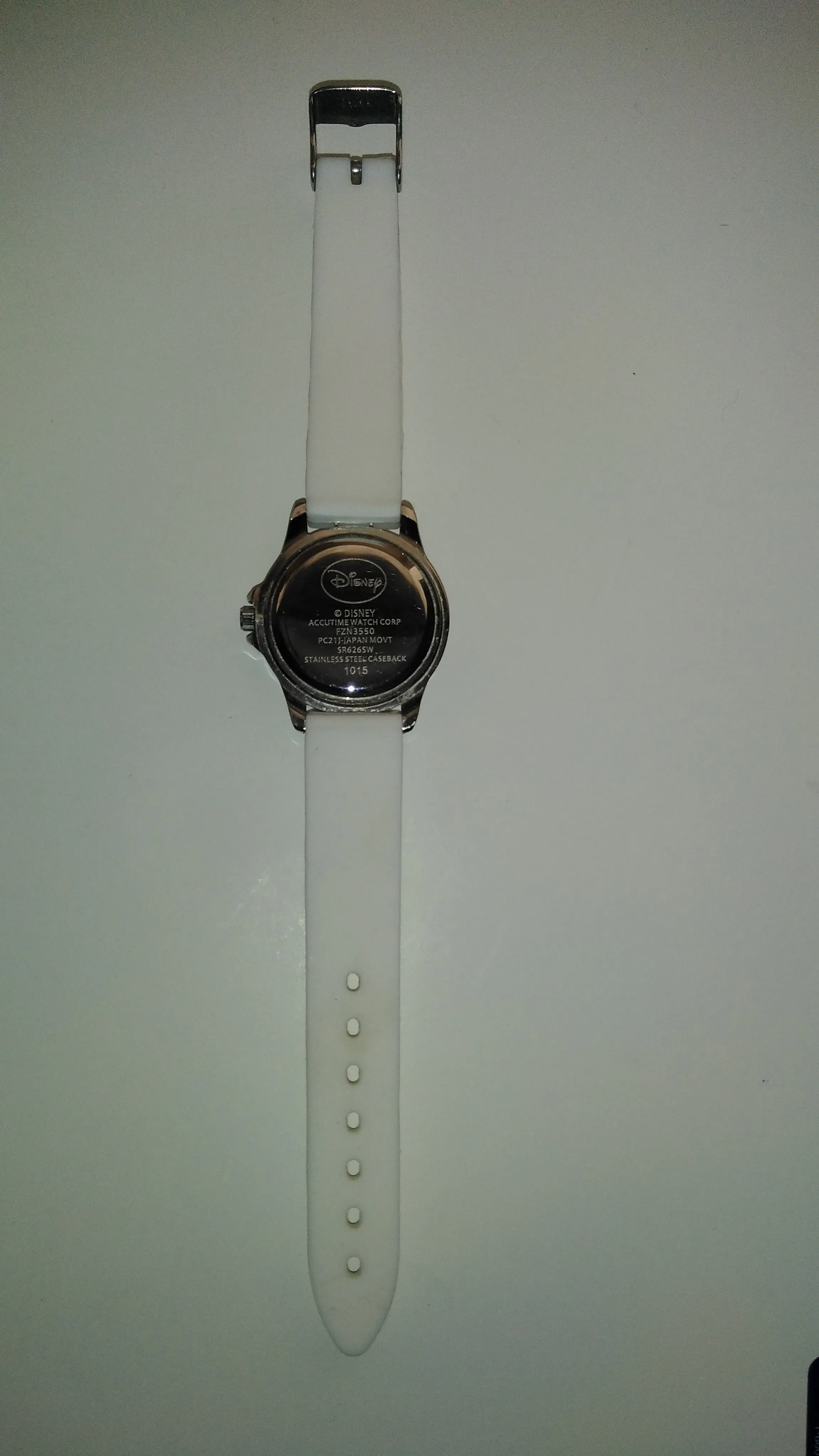 Frozen Watch