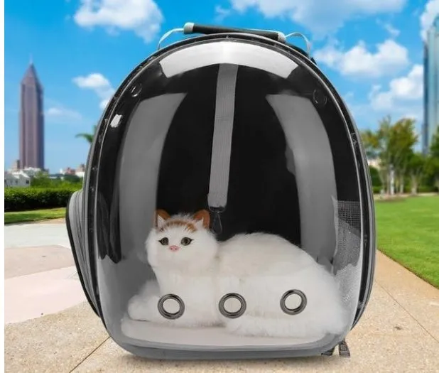 Full Transparent Cat Backpack