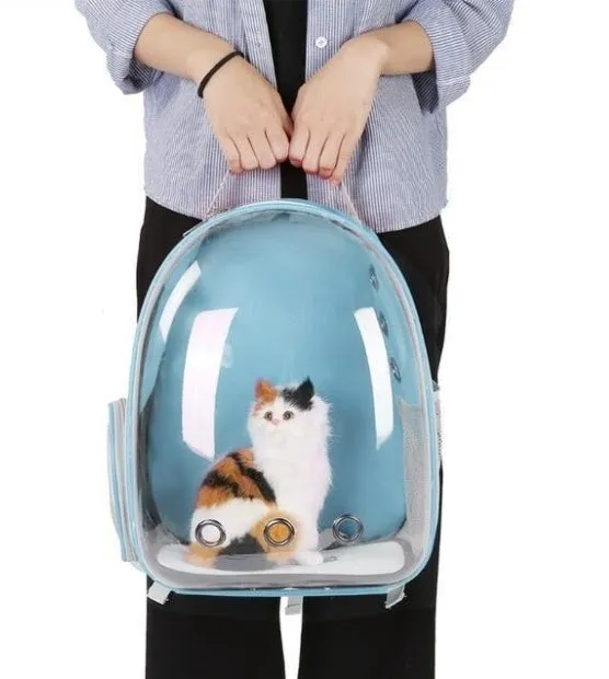 Full Transparent Cat Backpack