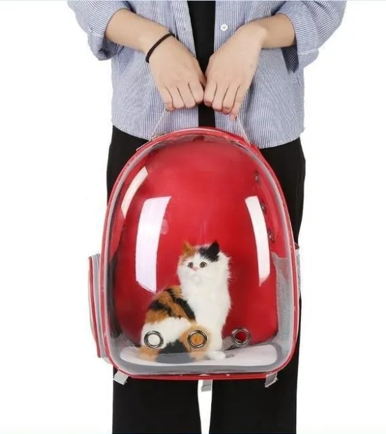 Full Transparent Cat Backpack