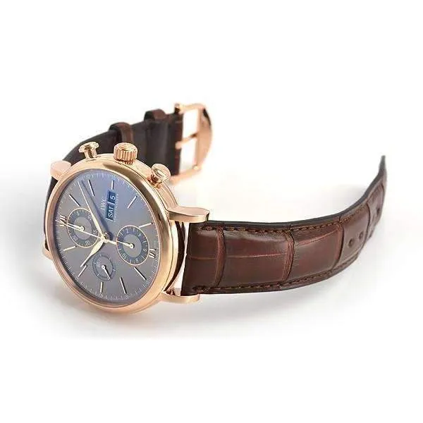 IWC PORTOFINO CHRONOGRAPH MEN WATCH  IW391021