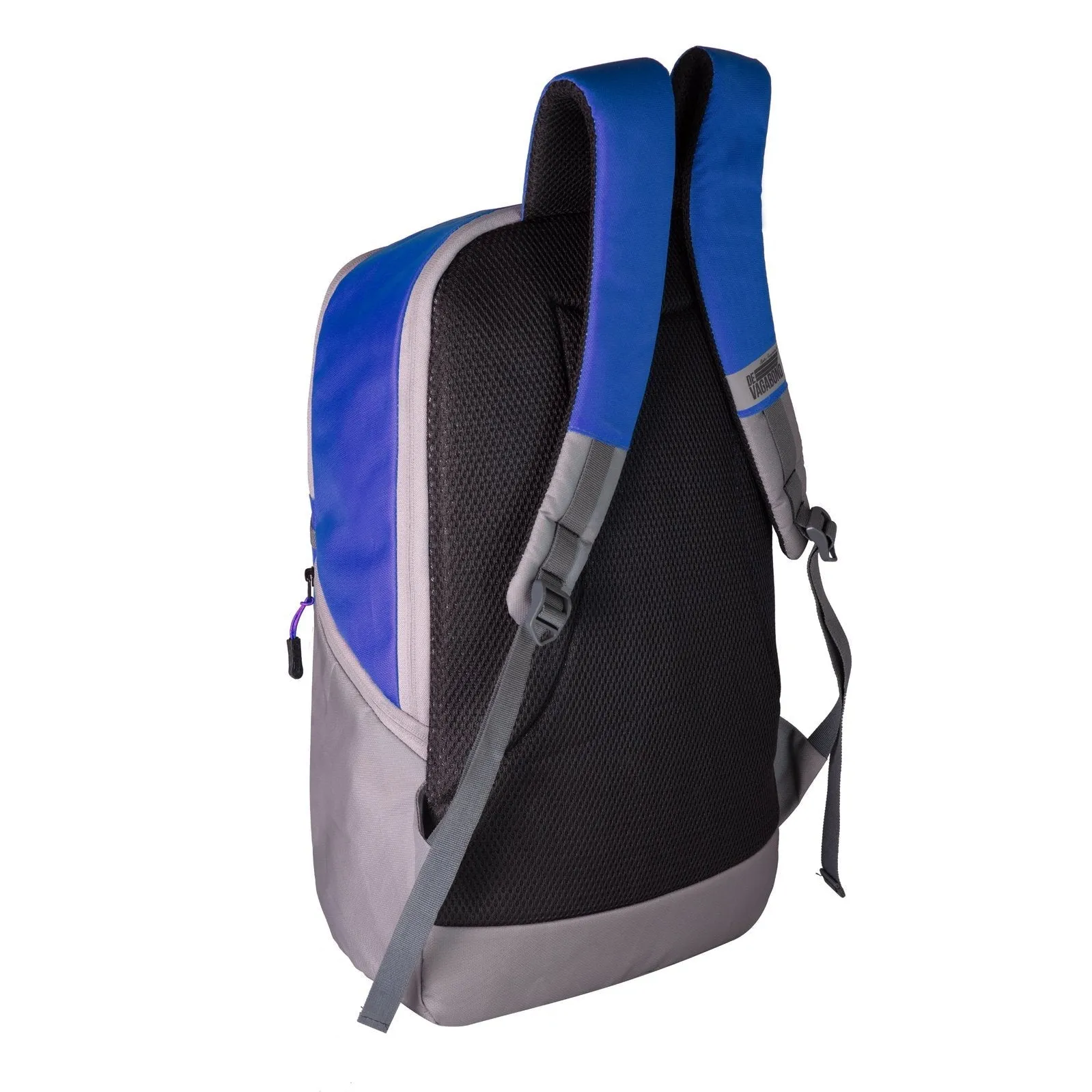 Phinix Blue
