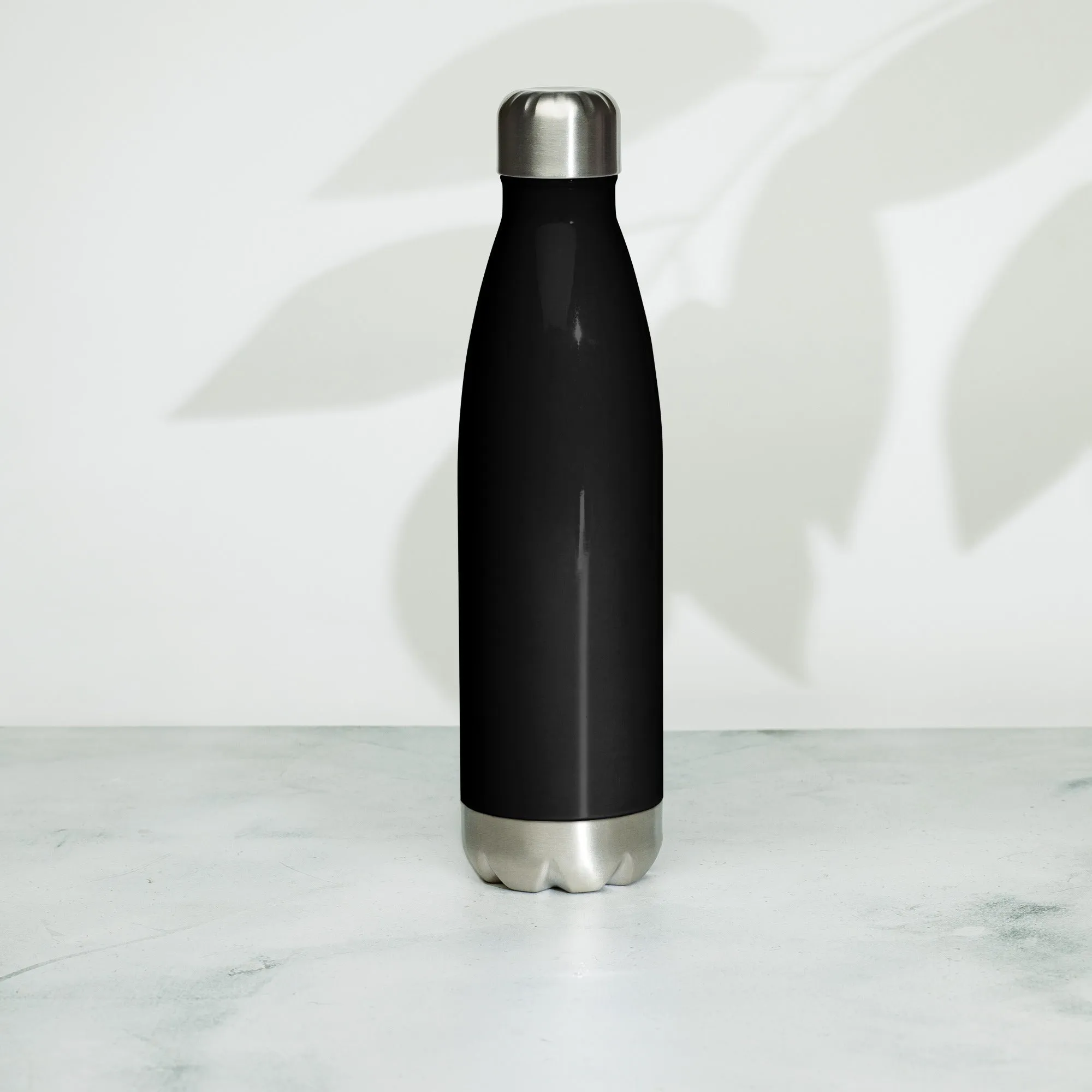 Stainless Steel Water Bottle, Travel Bottle, Backpack, Hot/Cold, Kids,